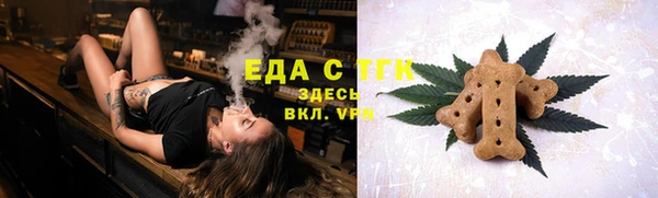 тгк Новозыбков