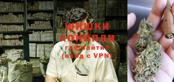 тгк Новозыбков