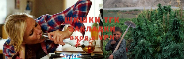 тгк Новозыбков
