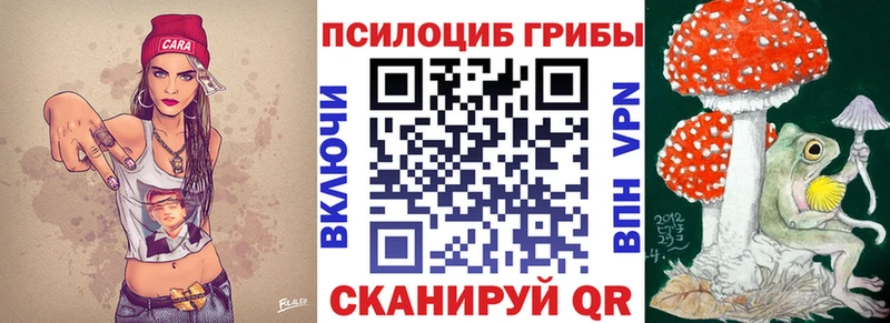 где купить   Куйбышев  Псилоцибиновые грибы Psilocybe 