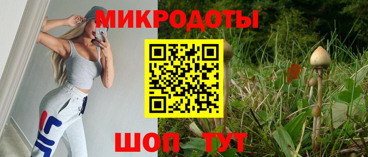 Галлюциногенные грибы Psilocybe  Вход с VPN  Куйбышев 